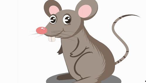 91年羊和96年的鼠,生肖相克的传奇故事